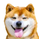 Shiba's Shack