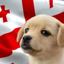 Georgian Rhythm Gaming Community / GRGC