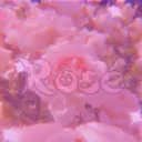 𝓡𝓸𝓼𝓮́