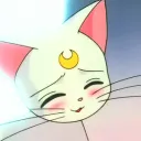 ♡kitty city♡