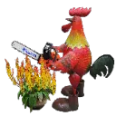 The Crimson Rooster Coalition