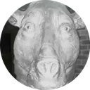 Tomakins Discord! (uhh)