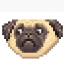 PugSolana