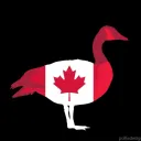 Internationals to Canada