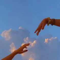 wings﹒aesthetic & fun — мониторинг Discord сервера, статистика и рейтинг