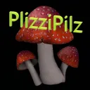PlizziPilz