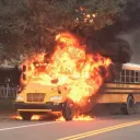 The School Bus