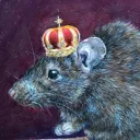 The Rat Kingdom