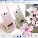 ⟢ surfin ⁺  Discord Server Icon