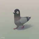 I Piccioni di MrPigeon!
