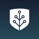 Learning Crypto