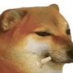 BonkНутый сервер - Discord Server BonkНутый сервер - Discord Server