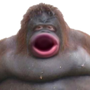 Monke's mafia server Server Icon