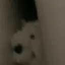 shocked