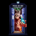 the tardis