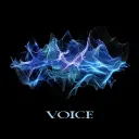 good BKW!! || VOICE - 19.08