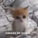 Povo animado Discord Server Icon