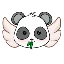 🐼 Panda 🐼 | 🦘Kangaroo🦘