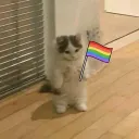 LGBTQIA+ Only