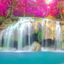 Behind The Waterfall. Server Icon