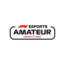 F1 Esport Amateur