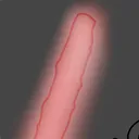 はじめてのバイオ