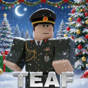 Discovery icon for | TEAF | Turkish Armed Forces Discord server