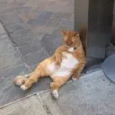 누추한디코에귀한분이