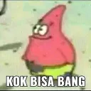 sircle tai kucing