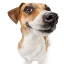 Valvez Dahood Cash's icon