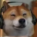 dogesong owner's server