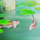 ༉‧₊˚. koi's pond