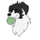 Collie Class Gaming