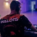 WALDIS TEAM