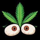 ZOOTED icon