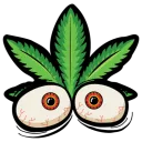 ZOOTED