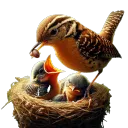 The Nest