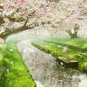 BlossomSpirit
