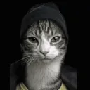 Gato Sexo te pones esto
