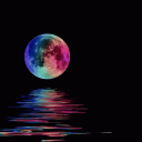 moonlight 🌙