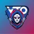 Vetheo's Discord