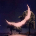 𝗧$𝗨𝗞𝗜'𝗦 𝗖𝗨𝗟𝗧