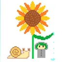 ひまわり