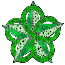 Kellcord