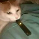 Forever Woofer's icon