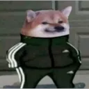 Shites and Gigles