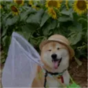 Minuna's Garden