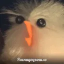 святилище шэнь цзю