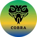 COBRA - Comunidade de OSINT Brasileira