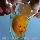 Mr.Egg's server